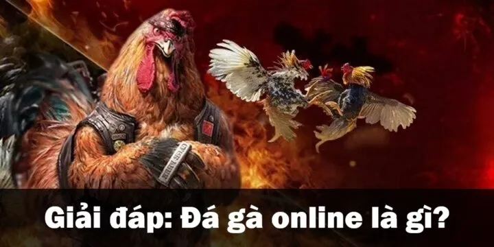 Đá gà online là gì? 