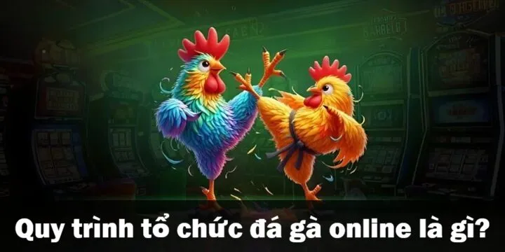 Đá gà online là gì? Đừng chơi nếu chưa biết điều này